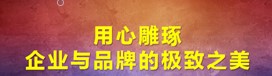 抖拓济南301转向用途是什么?
