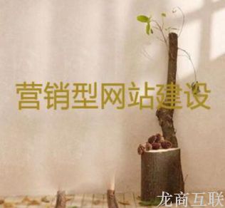 做网站有哪些需要注意的要求