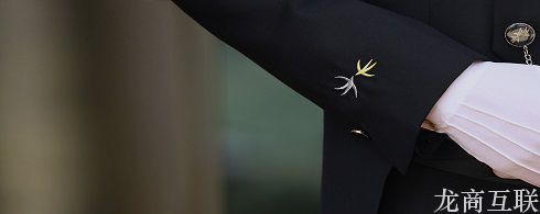 抖拓济南恭喜金地荣尚荟服务有限公司网站建设项目顺利上线