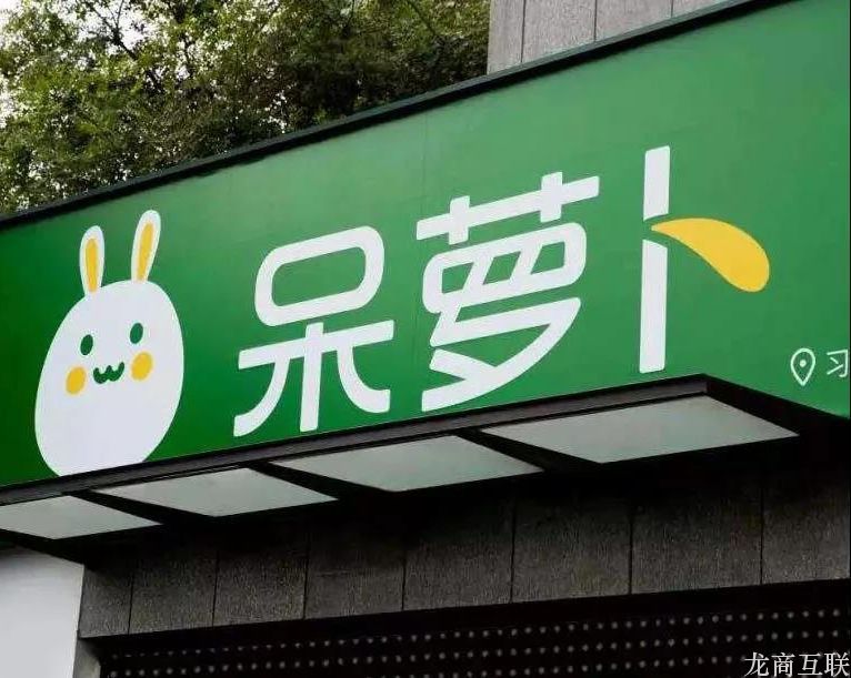 抖拓济南在社区团购风口上腾飞，生鲜新零售品牌呆萝卜门店数量破千