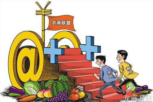 抖拓济南陕西实施互联网+流通行动 推进电商进农村